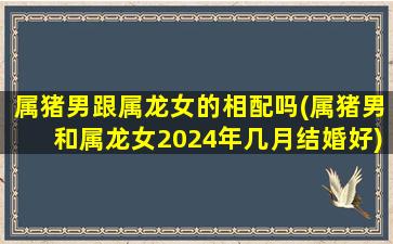 属猪男跟属龙女的相配吗