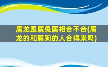 属龙跟属兔属相合不合(属