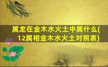 属龙在金木水火土中属什么(12属相金木水火土对照表)