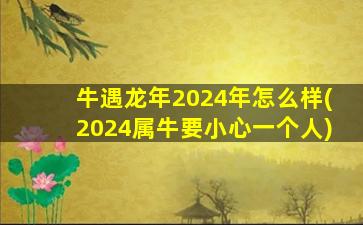 牛遇龙年2024年怎么样(