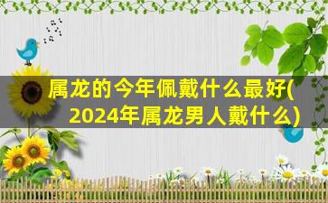 属龙的今年佩戴什么最好(2024年属龙男人戴什么)