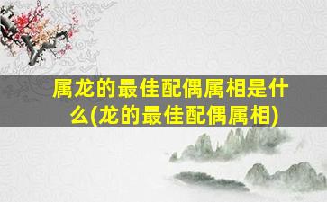 属龙的最佳配偶属相是什么(龙的最佳配偶属相)