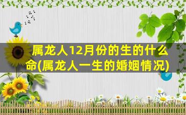 属龙人12月份的生的什么