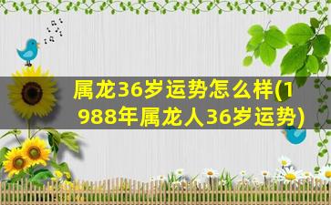 属龙36岁运势怎么样(1988年属龙人36岁运势)