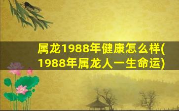 属龙1988年健康怎么样(1988年属龙人一生命运)