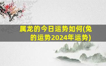 属龙的今日运势如何(兔的运势2024年运势)