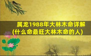 属龙1988年大林木命详解