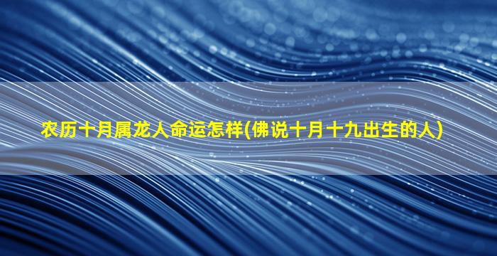 农历十月属龙人命运怎样