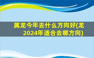 属龙今年去什么方向好(龙2024年适合去哪方向)