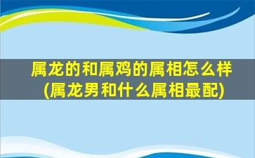 属龙的和属鸡的属相怎么样(属龙男和什么属相最配)