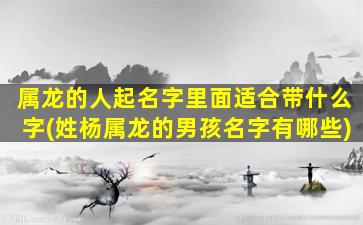 属龙的人起名字里面适合带什么字(姓杨属龙的男孩名字有哪些)