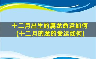 十二月出生的属龙命运如何(十二月的龙的命运如何)