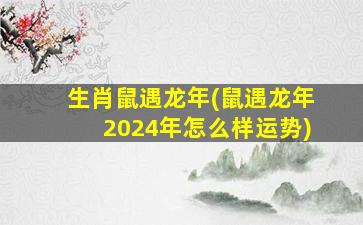 生肖鼠遇龙年(鼠遇龙年2024年怎么样运势)