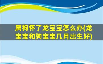 属狗怀了龙宝宝怎么办(龙宝宝和狗宝宝几月出生好)