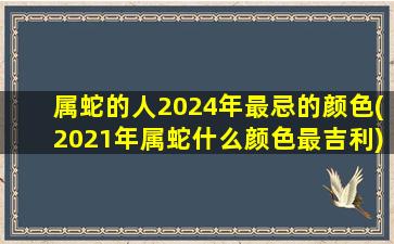 属蛇的人2024年最忌的颜