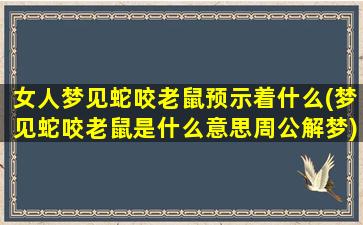 女人梦见蛇咬老鼠预示着