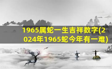 1965属蛇一生吉祥数字(