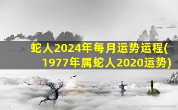 蛇人2024年每月运势运程