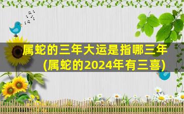 属蛇的三年大运是指哪三年(属蛇的2024年有三喜)