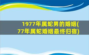 1977年属蛇男的婚姻(77年属