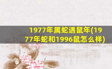 1977年属蛇遇鼠年(1977年蛇和1996鼠怎么样)