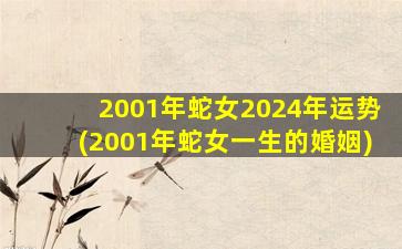 2001年蛇女2024年运势(20