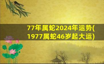 77年属蛇2024年运势(1977属蛇46岁起大运)