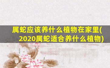 属蛇应该养什么植物在家里(2020属蛇适合养什么植物)