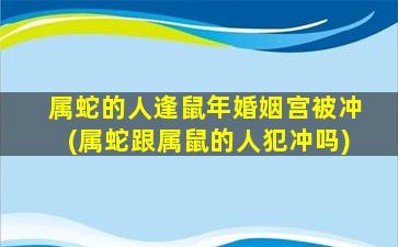 属蛇的人逢鼠年婚姻宫被冲(属蛇跟属鼠的人犯冲吗)