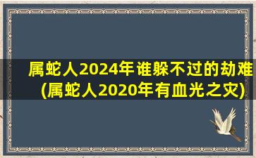 属蛇人2024年谁躲不过的