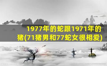 1977年的蛇跟1971年的猪