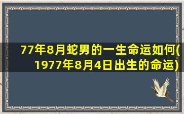 77年8月蛇男的一生命运如