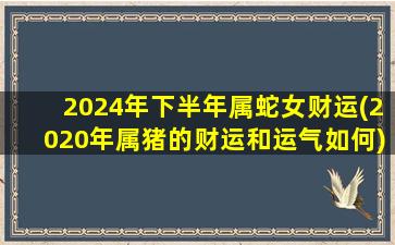 2024年下半年属蛇女财运(2020年属猪的财运和运气如何)