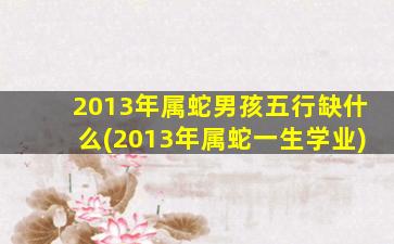 2013年属蛇男孩五行缺什么(2013年属蛇一生学业)