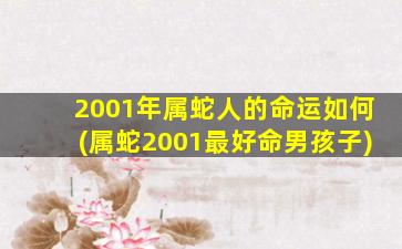 <strong>2001年属蛇人的命运如何</strong>