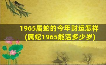 1965属蛇的今年财运怎样