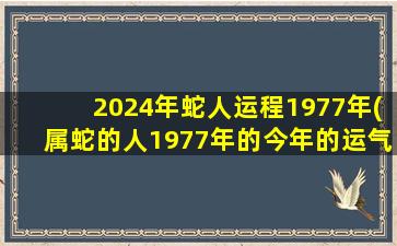 2024年蛇人运程1977年(属蛇