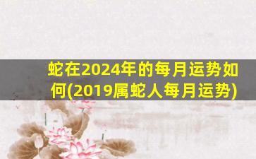 蛇在2024年的每月运势如