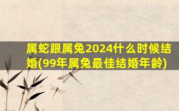 属蛇跟属兔2024什么时候结婚(99年属兔最佳结婚年龄)