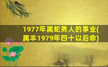 1977年属蛇男人的事业(属