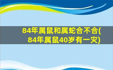 84年属鼠和属蛇合不合(84年属鼠40岁有一灾)