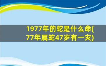 1977年的蛇是什么命(77年属蛇47岁有一灾)