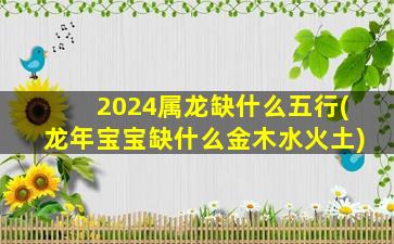 2024属龙缺什么五行(龙年