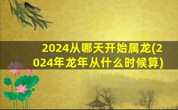 2024从哪天开始属龙(2024年龙年从什么时候算)