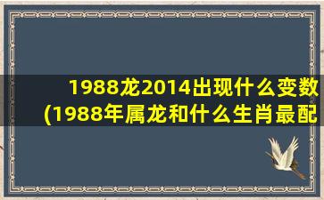 1988龙2014出现什么变数