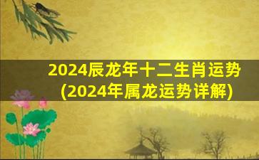 2024辰龙年十二生肖运势