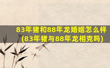 83年猪和88年龙婚姻怎么样