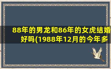 88年的男龙和86年的女虎