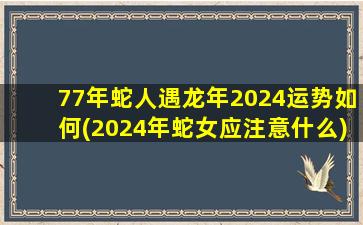 77年蛇人遇龙年2024运势如