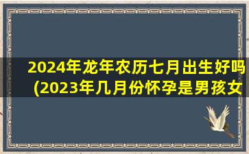 2024年龙年农历七月出生好吗(2023年几月份怀孕是男孩女孩)